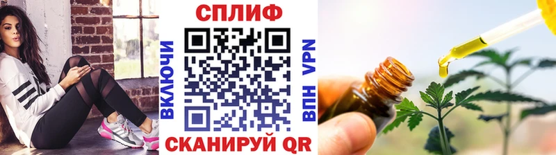 ГАШ Туран