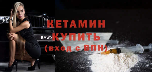 твердый Инсар