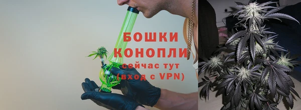 твердый Инсар