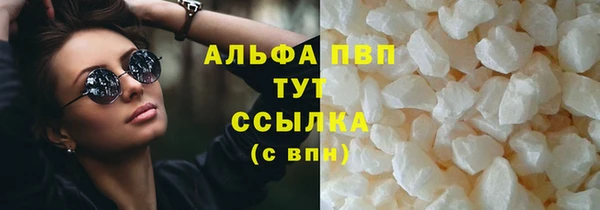 твердый Инсар