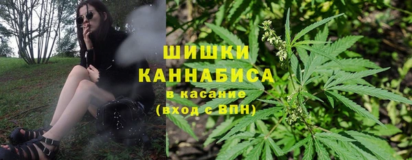 твердый Инсар