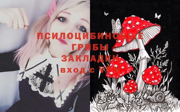 таблы Инта