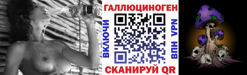 блэк спрут рабочий сайт  Туран  Галлюциногенные грибы Psilocybe 